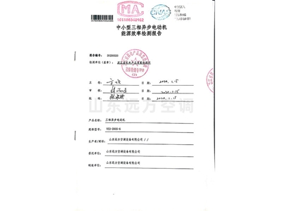 中小型三（sān）相異步電動機能源效率檢測報告