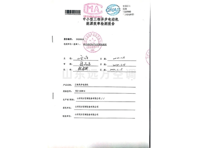 中小型三相（xiàng）異步電動機能源效率檢測（cè）報告